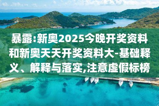 暴露:新奧2025今晚開獎資料和新奧天天開獎資料大-基礎(chǔ)釋義、解釋與落實,注意虛假標榜